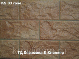 KS 03 rose
