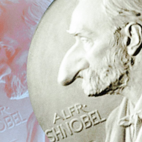 Премия Шнобеля 2023: Победа за объяснение пристрастия лизать камни!