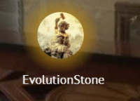 EvolutionStone
